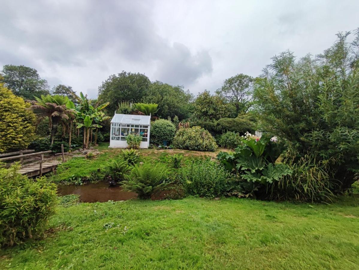 Villa Tree Fern Barn à St Austell Extérieur photo